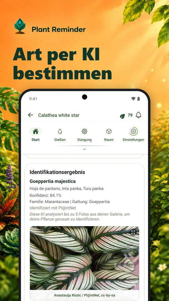 Art per KI bestimmen