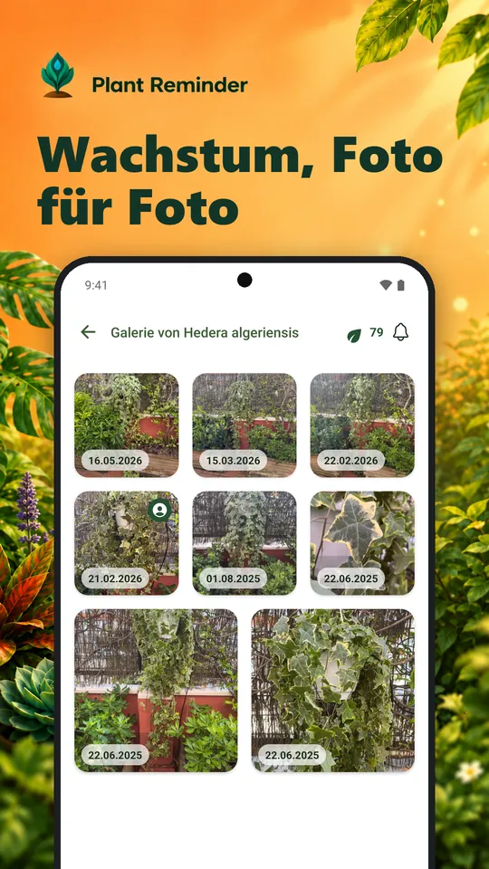 Wachstum, Foto für Foto