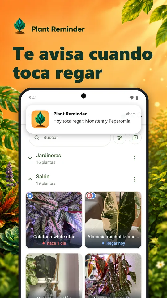 Te avisa cuando toca regar