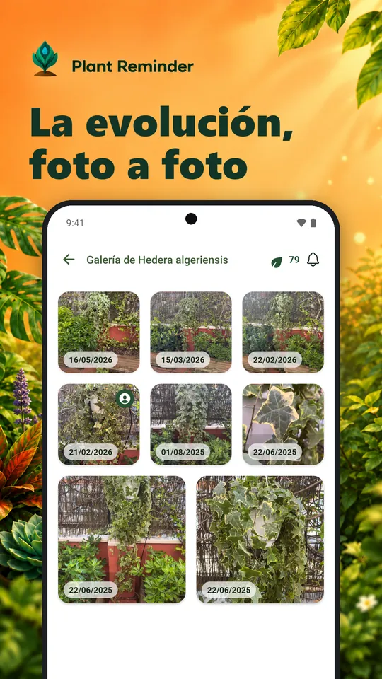 La evolución, foto a foto