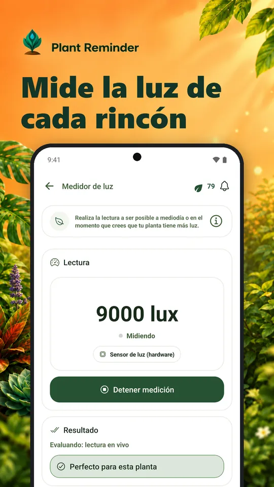 Mide la luz de cada rincón
