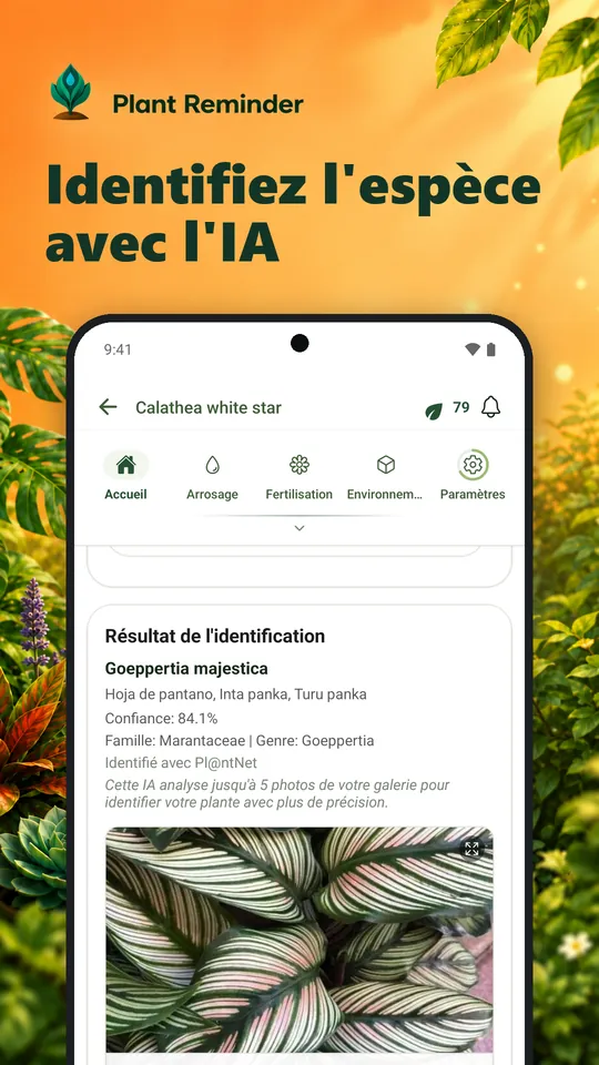 Identifiez l'espèce avec l'IA