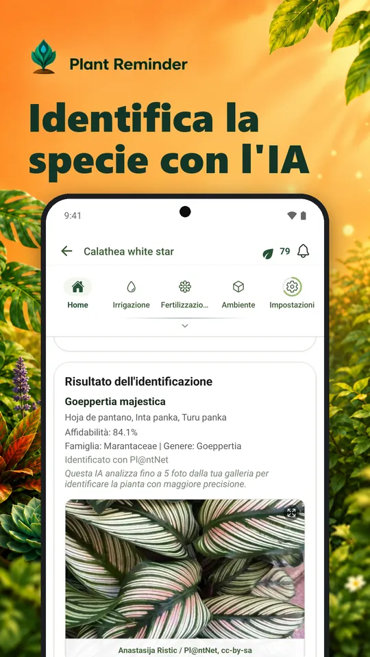 Identifica la specie con l'IA