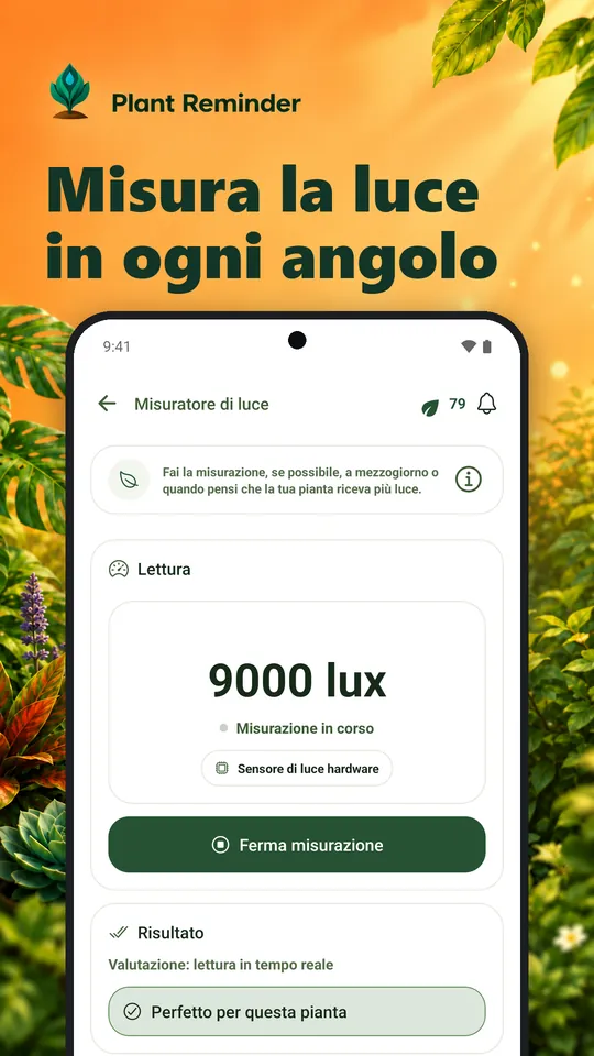 Misura la luce in ogni angolo