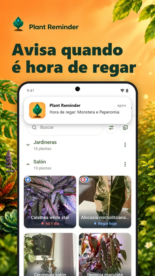 Avisa quando é hora de regar