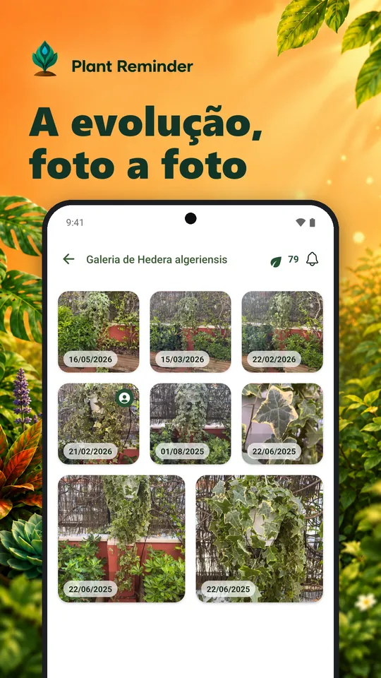 A evolução, foto a foto