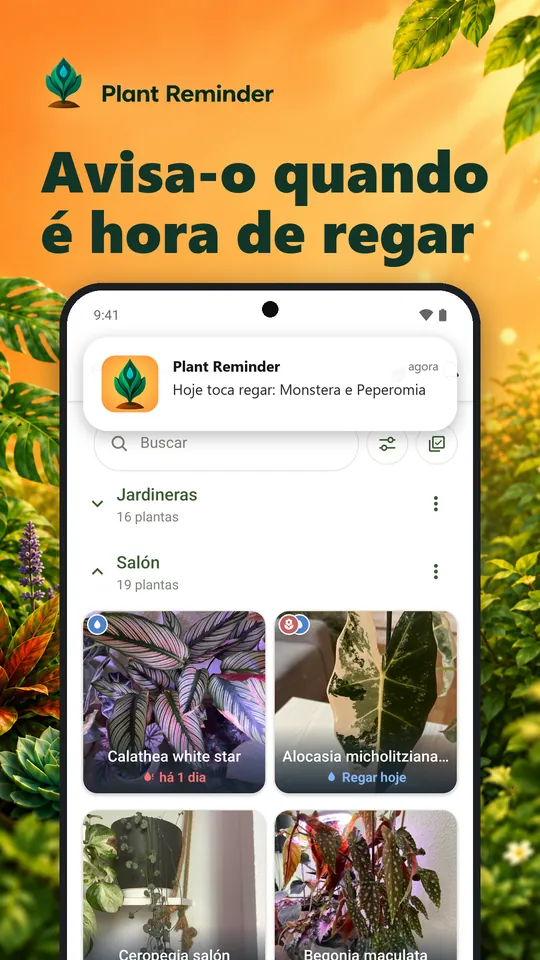 Avisa-o quando é hora de regar
