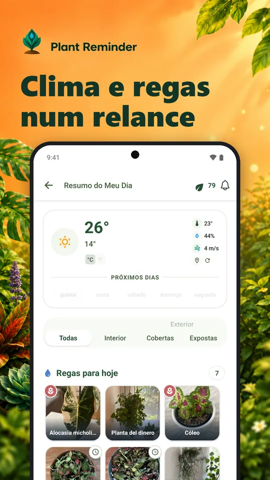 Clima e regas num relance