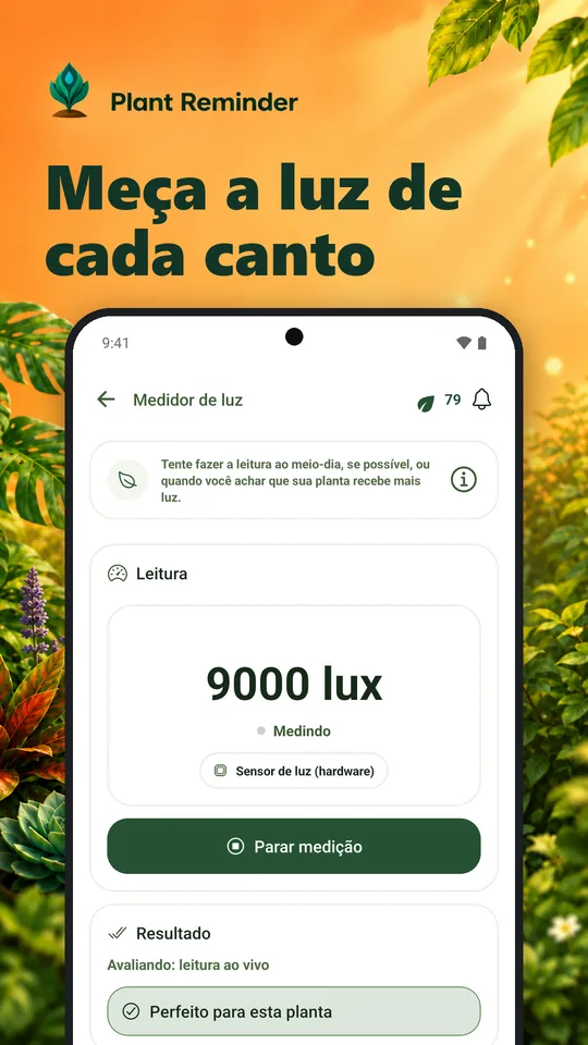 Meça a luz de cada canto